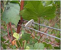 Vegeclip in use