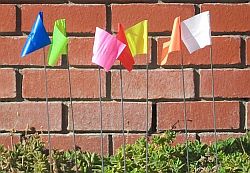 Survey flags