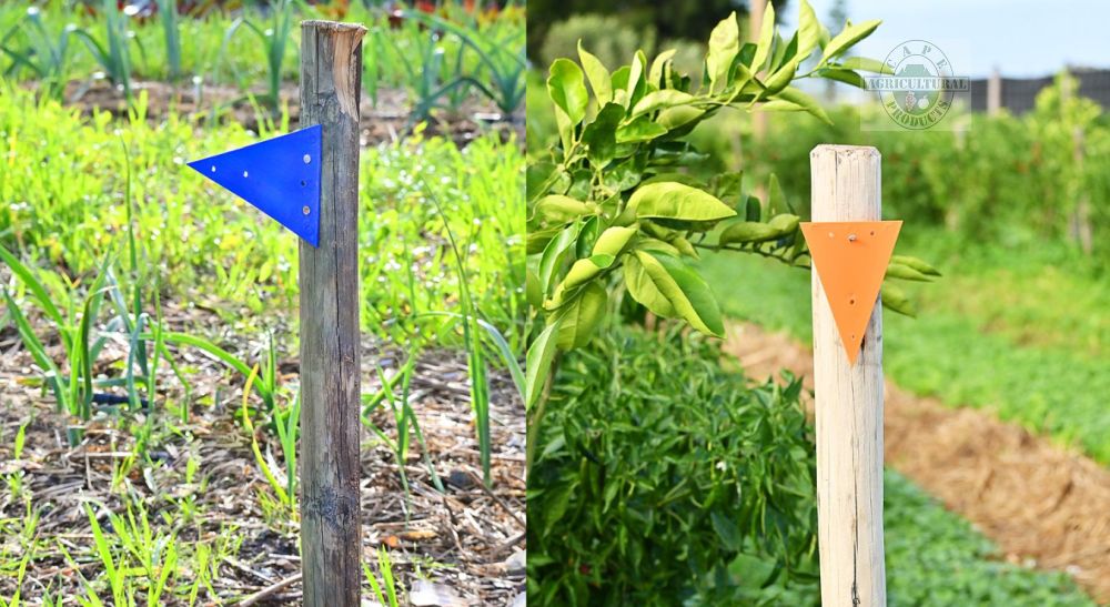 Triangle Markers