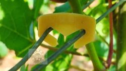 Vegeclip Foliage Wire clips