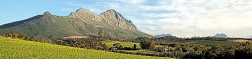Cape Agricultural Products (Pty) Ltd showcase 1
